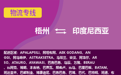 梧州到印度尼西亞物流專線全境/直達(dá)，梧州到印度尼西亞空運(yùn)（海運(yùn)）公司