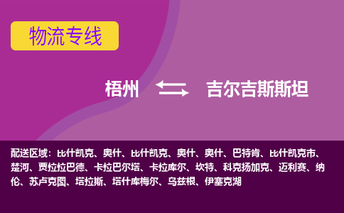 梧州到吉爾吉斯斯坦物流專線全境/直達(dá)，梧州到吉爾吉斯斯坦空運(yùn)（海運(yùn)）公司